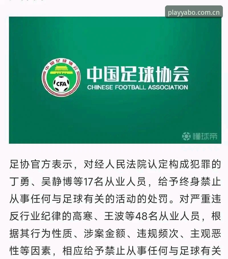 亚博评价使用指南 足协第三批禁足名单详解:65人受罚,行业整顿进行时